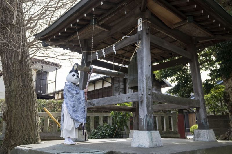 den-aruka-panda den-aruka-panda